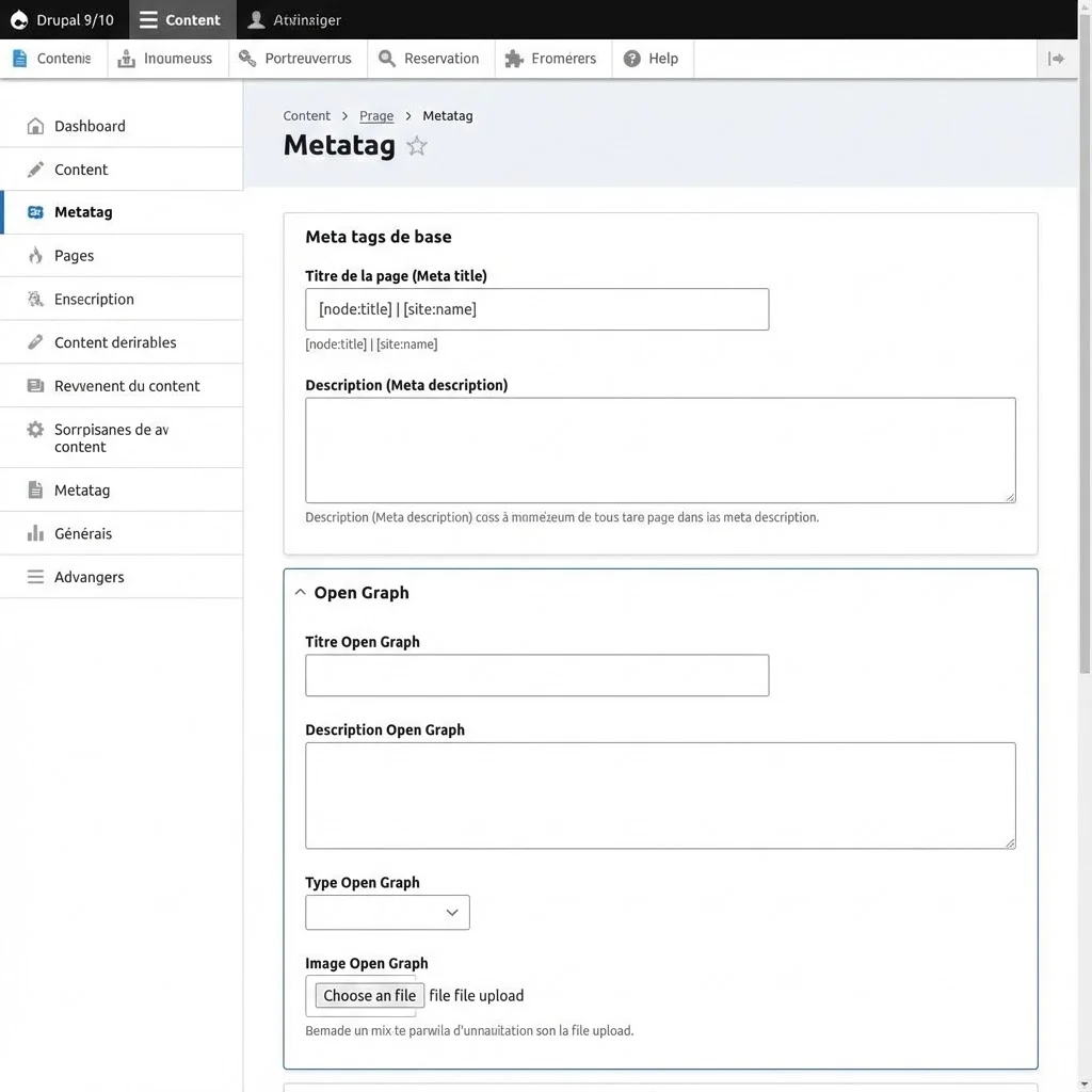 [Formulaire Metatag Drupal]